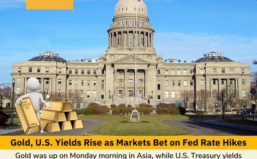 Gold, U.S. Yields Rise as Markets Bet ..www.Trademaxindia.com(c/w 8979560200)