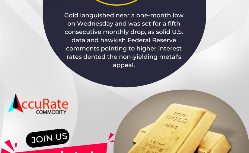 31/August/2022 Gold News Highlight By Accurate Commodity Get 100% Profitable Gold Tips With www.accuratecommodity.com